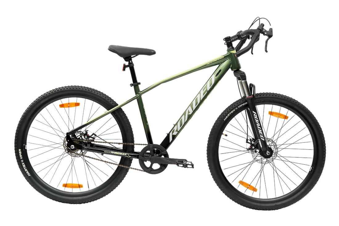 Roadeo Aggresso 29T