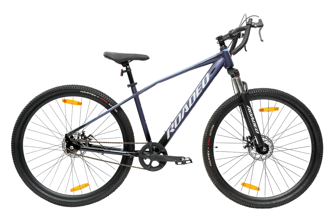 Roadeo Aggresso 29T