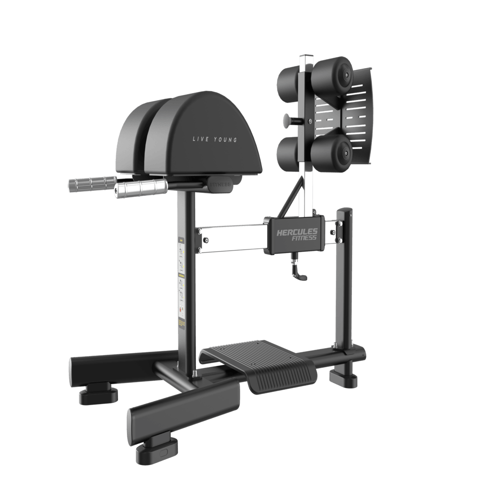 Eclipse - EC02 - Glute Ham Developer