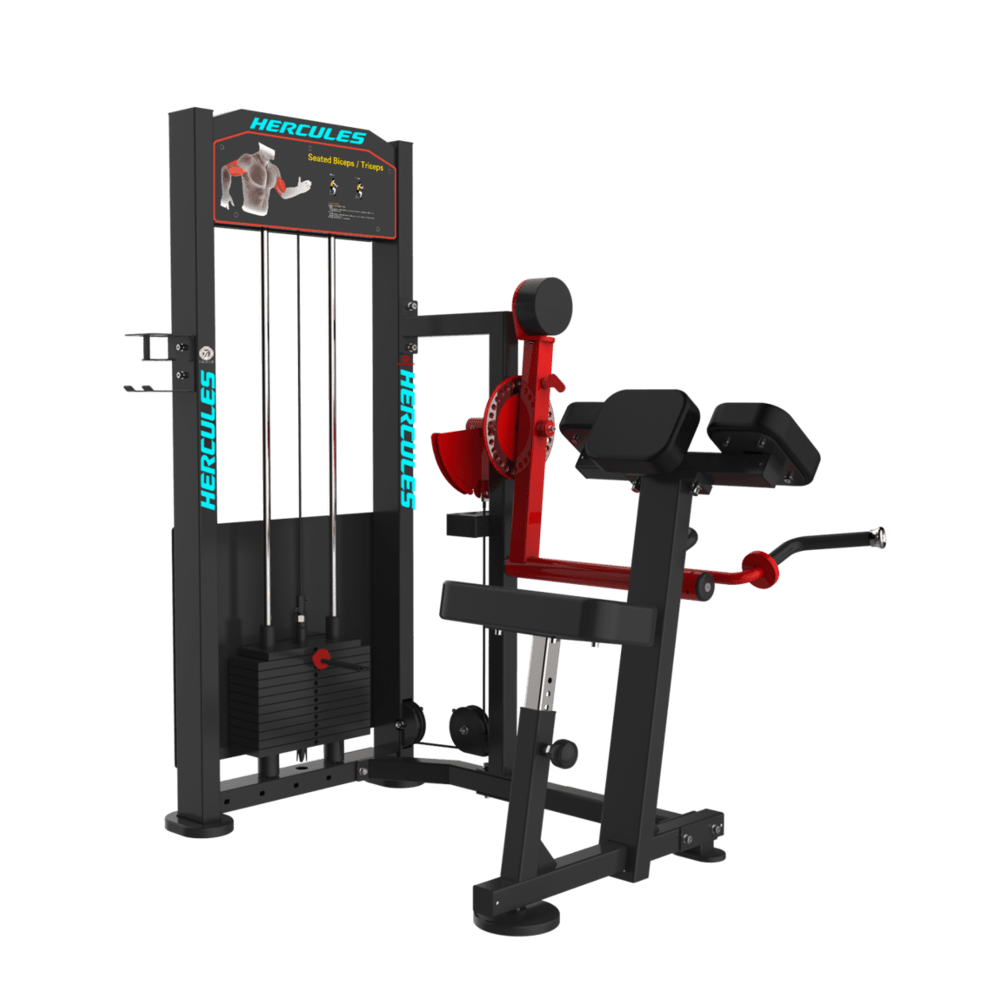 Flexion – Biceps & Triceps