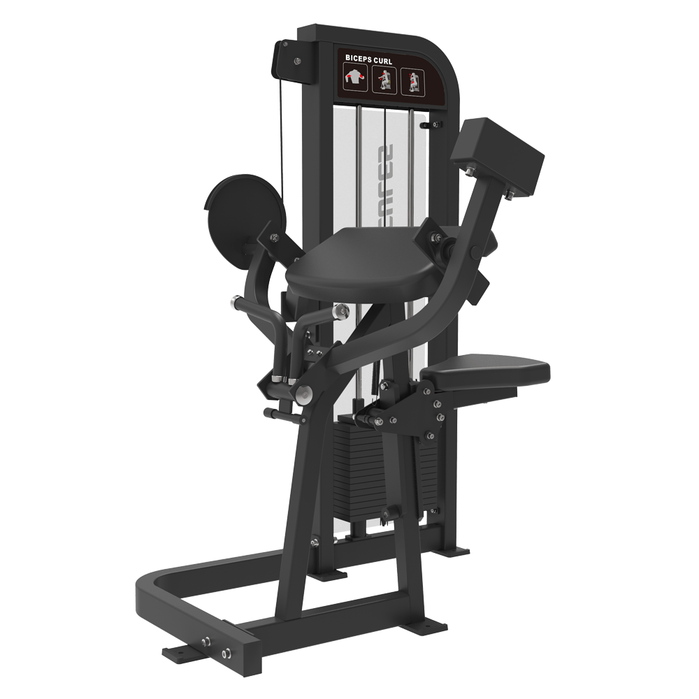 Razor - RA06 - Biceps Curl