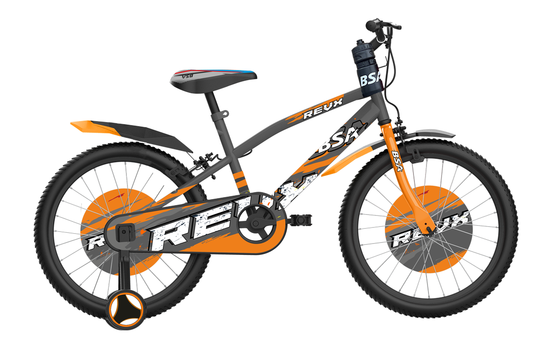 BSA Rev X 20T