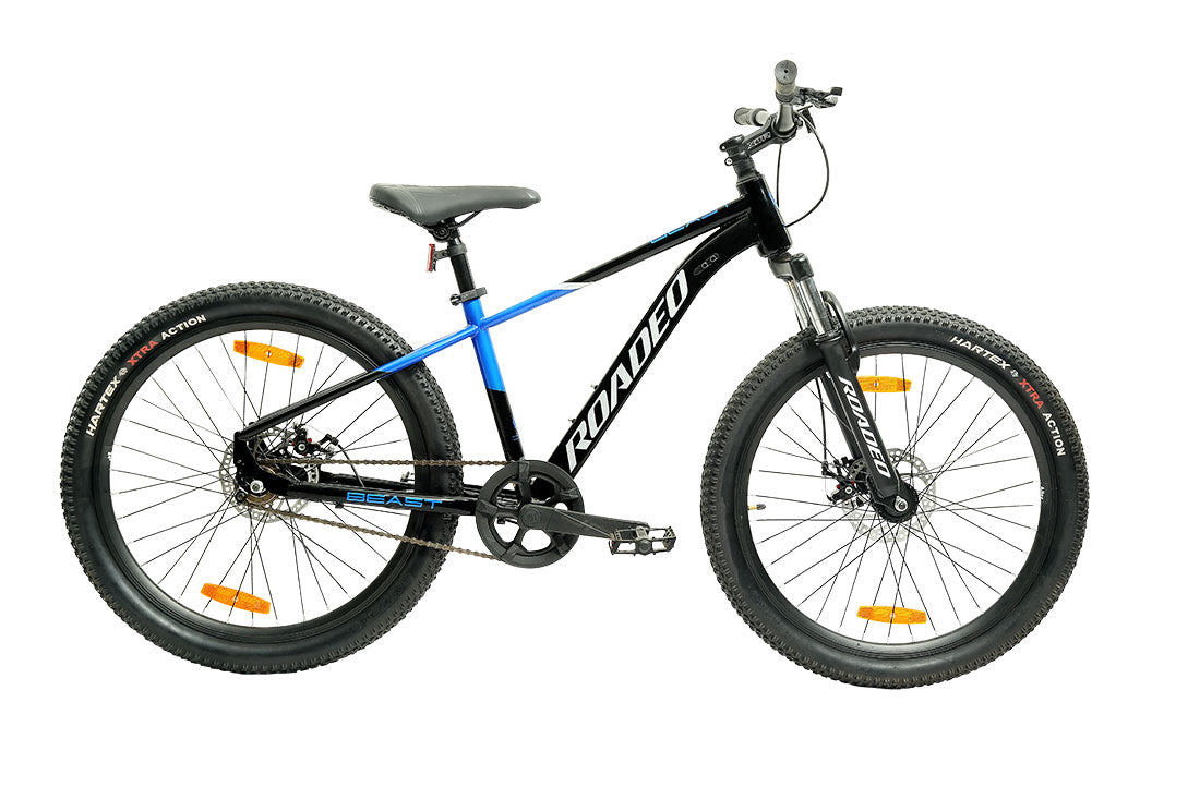 beast mountainbike Roadeo Beast