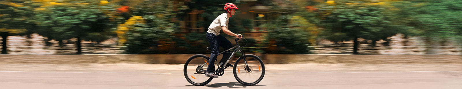 Hercules E-Bike