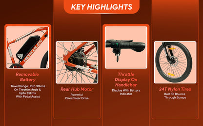 Hercules Rogue 24T