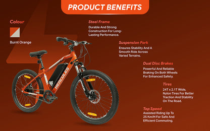 Hercules Rogue 24T