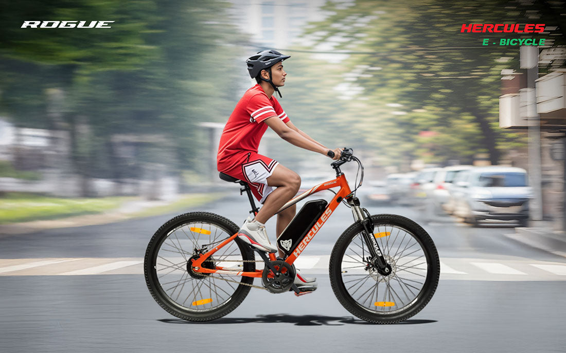 Hercules Rogue 24T