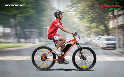 Hercules Rogue 24T