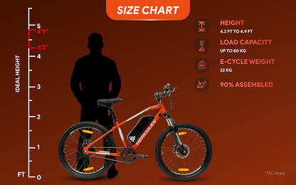 Hercules Rogue 24T