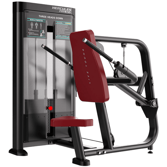Apex – AP26 – Seated Dip