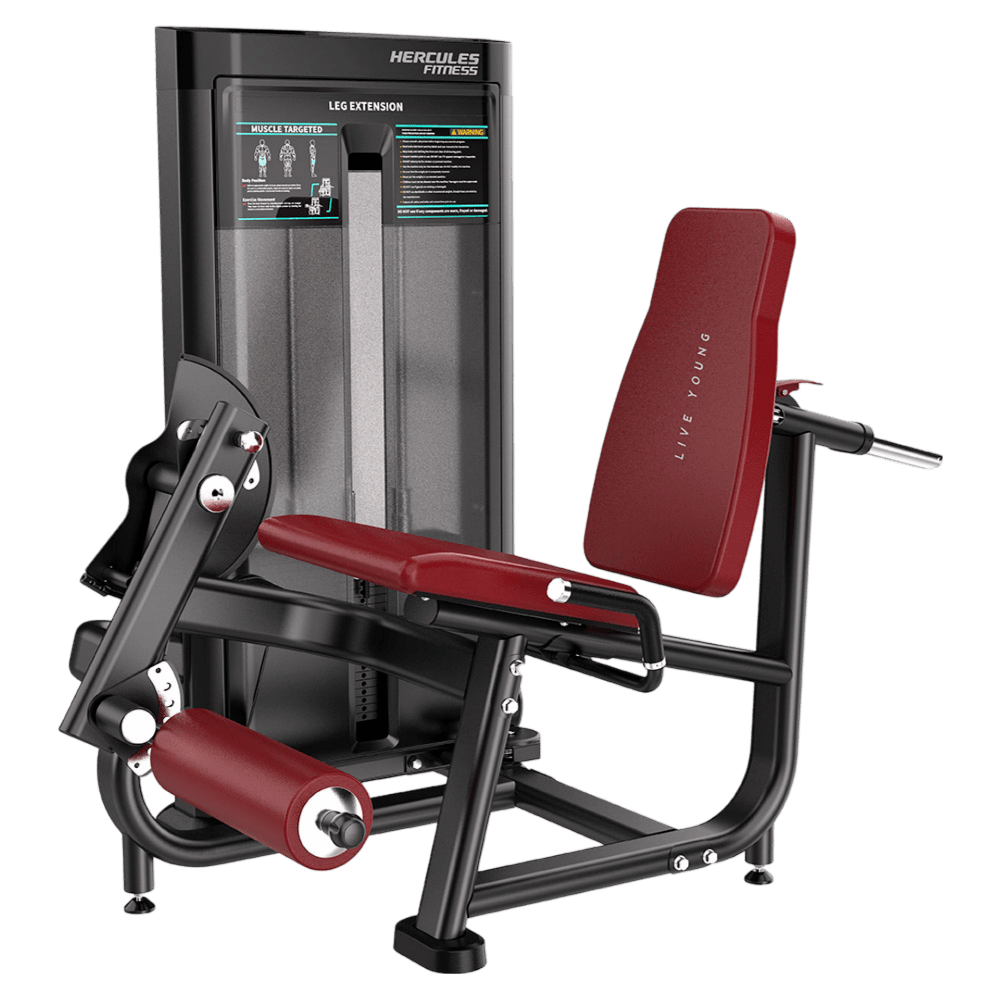 Apex – AP02 – Leg Extension