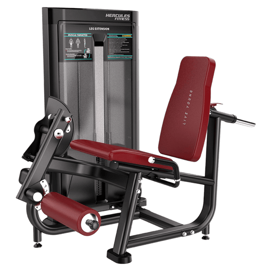 Apex – AP02 – Leg Extension