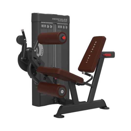 Dior – DI25 – LEG CURL AND LEG EXTENSION