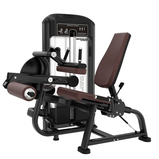 Dna – DN25 – Seated Leg Curl and Leg Extension