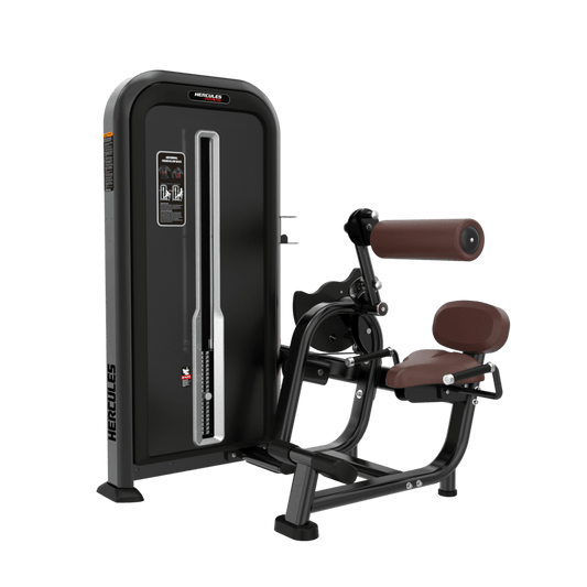 FORGE - FO31 - Abdominal Crunch and Lower Back
