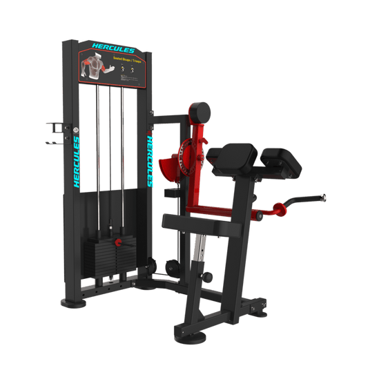 Flexion – Biceps & Triceps