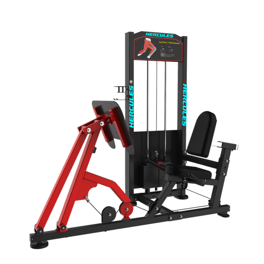 Flexion – Leg Press/Calf Extension