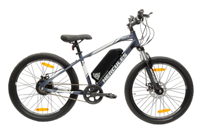 Hercules Rogue 24T