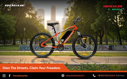 Hercules Rogue 24T