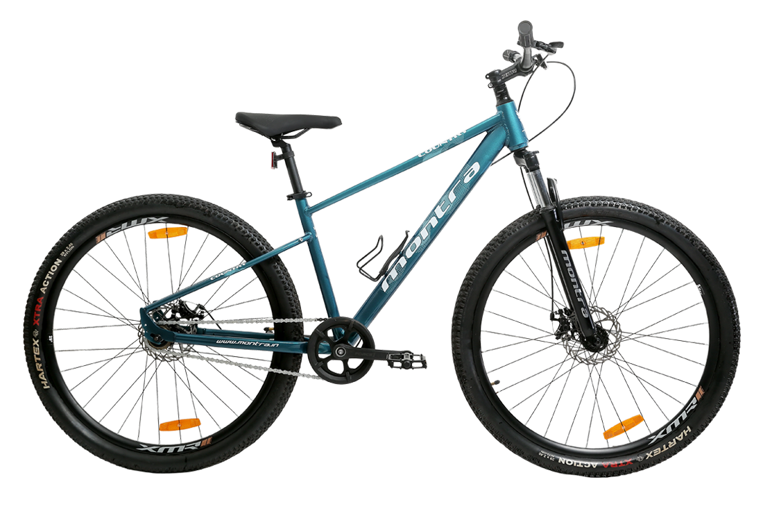 Montra Country Single Speed 29T Large