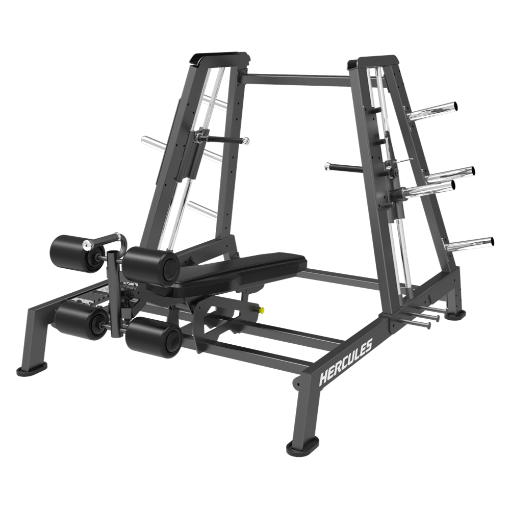 Dual Station-Power Smith Machine