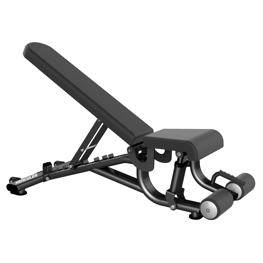 Multi Adjustable Bench | Track & Trail