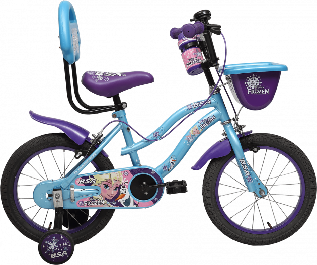 disney frozen cycle