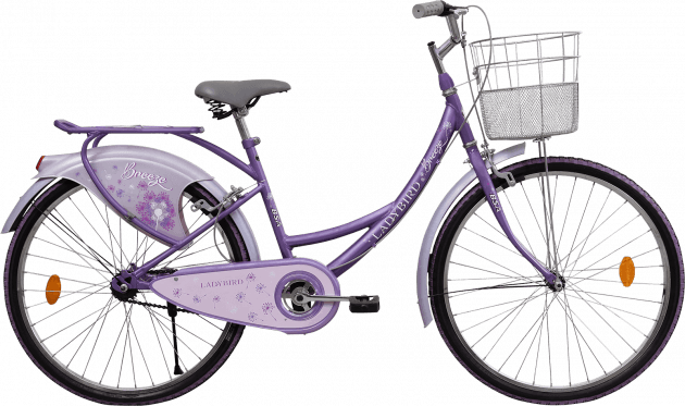 bicycle for ladies with price