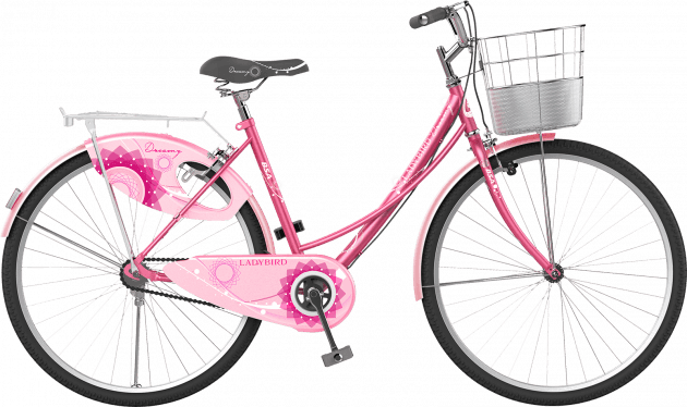 girl with cycle