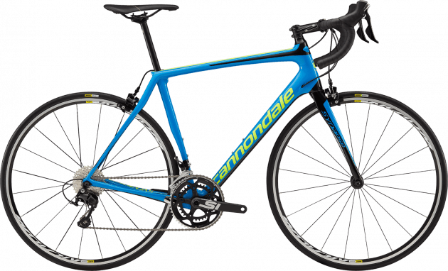cannondale synapse blue and white