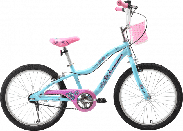 bsa disney princess cycle