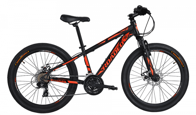 2021 e mountain bike